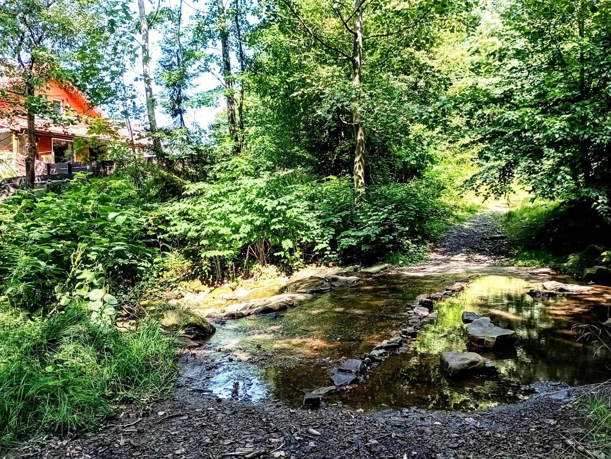 Apartmán Przystanek Lesna Targanice Exteriér fotografie